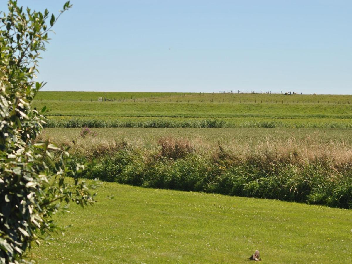 Charming Holiday Home In Texel Near Sea Oost  Экстерьер фото