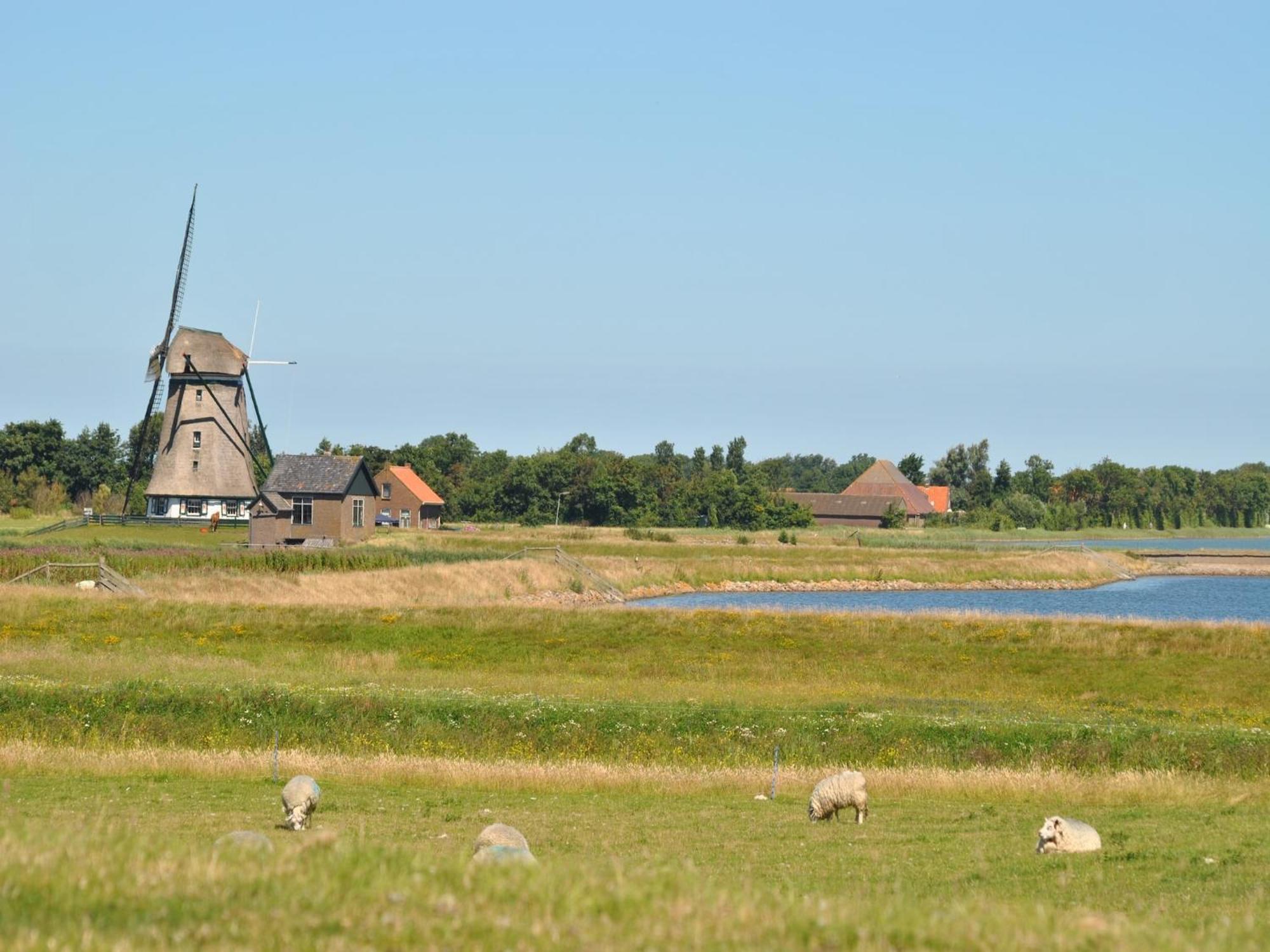Charming Holiday Home In Texel Near Sea Oost  Экстерьер фото